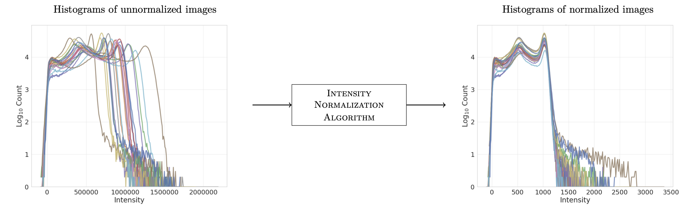 _images/intnorm_illustration.png